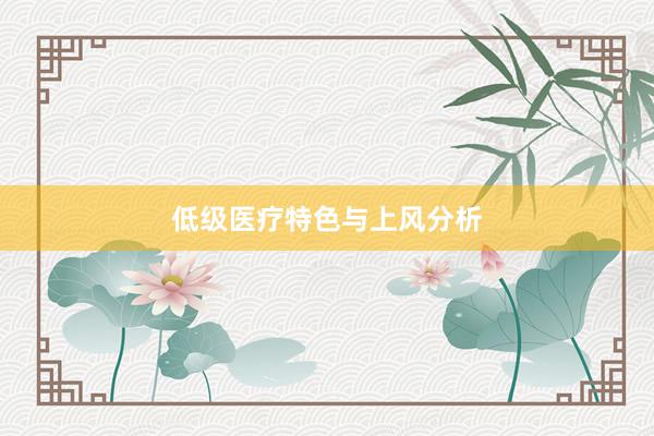 低级医疗特色与上风分析