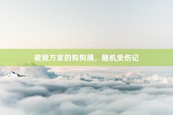 被我方家的狗狗捅，随机受伤记
