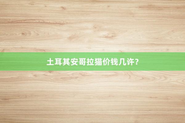 土耳其安哥拉猫价钱几许？