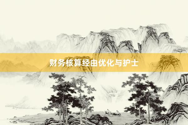 财务核算经由优化与护士